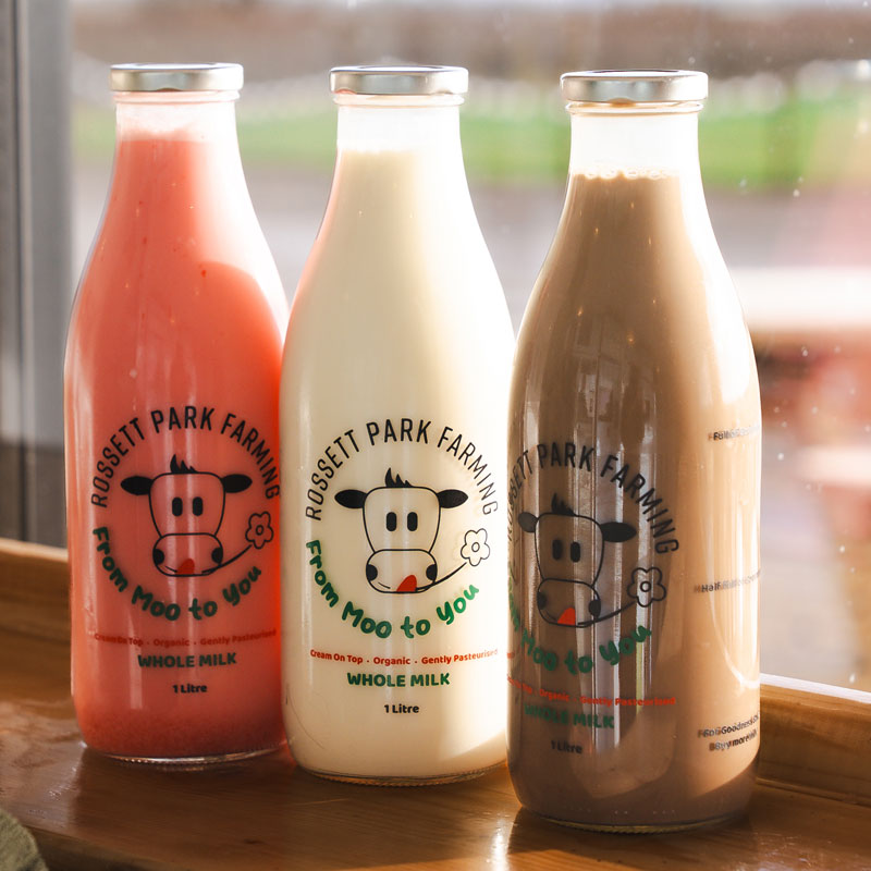 Organic milk in glass bottles