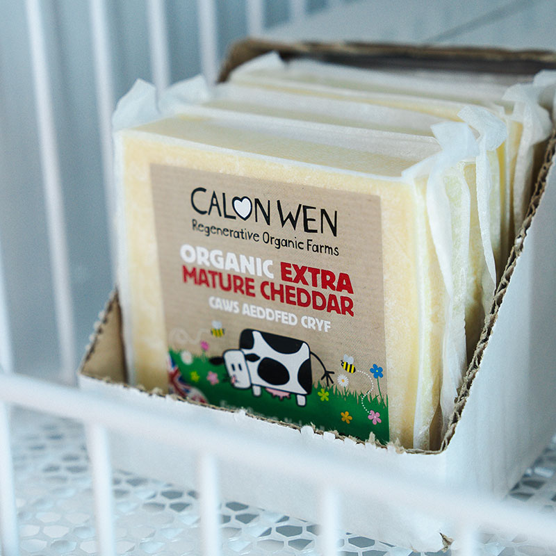 Calon Wen organic cheddar cheese